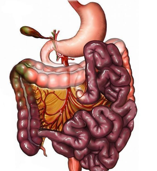 腸息肉者，排便出現(xiàn)3個異常，十有八九息肉已變成“癌”